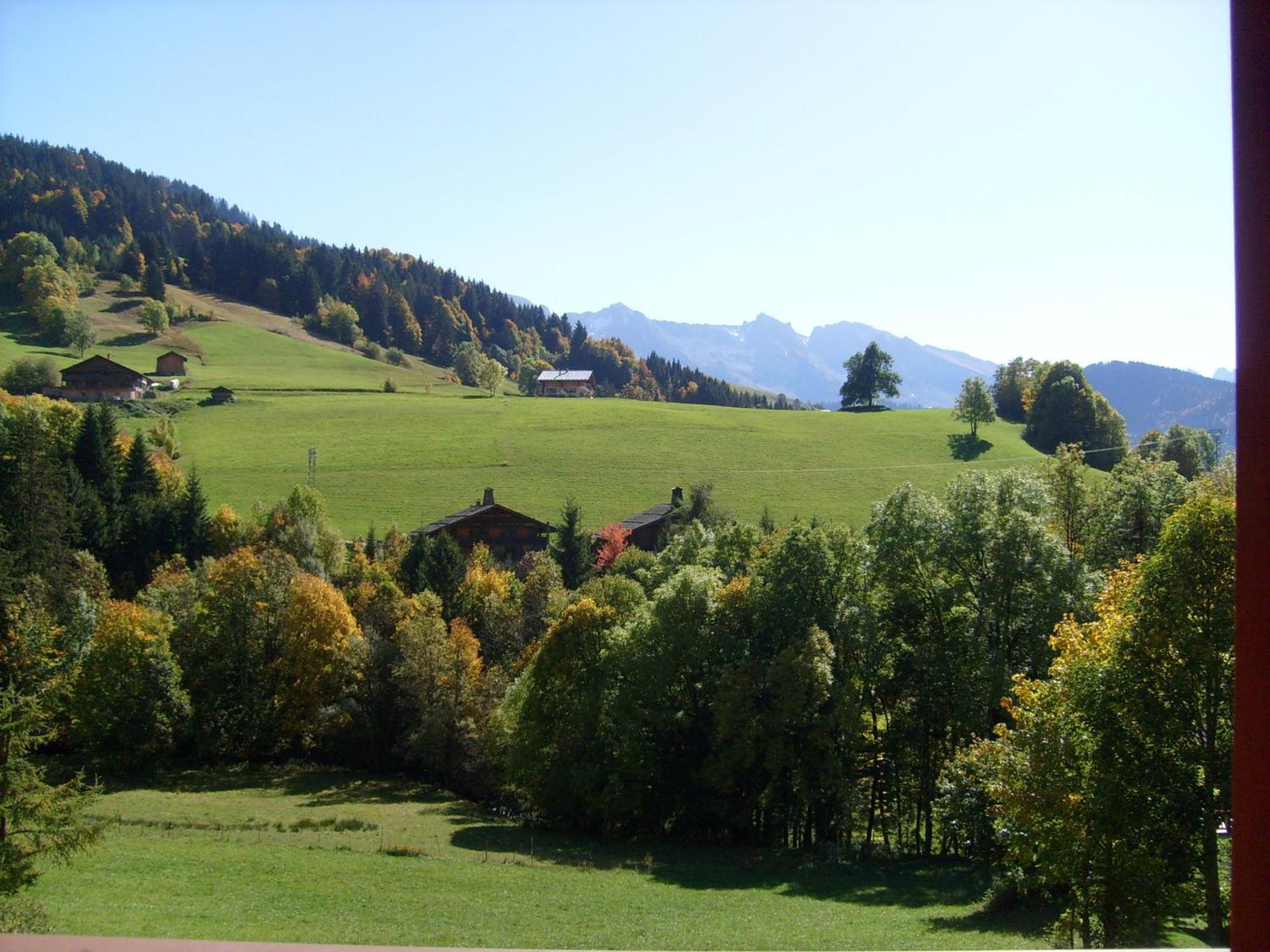 Grand Appt Savoyard, Cuisine Equipee, 4 Chambres, 2 Sdb, Le Chinaillon - Fr-1-467-60 Apartment *
